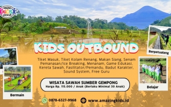 Wisata Sawah Sumber Gempong Trawas